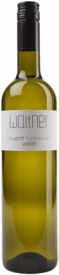 Grüner Veltliner Ried Gösinger Dorner 2025 