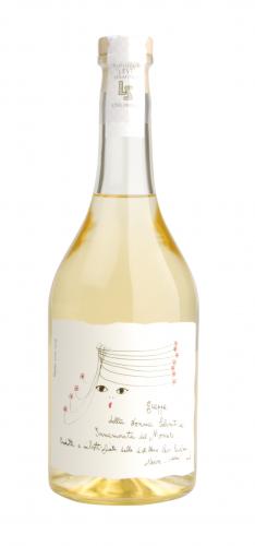 Grappa Moscato in 1er GePa 