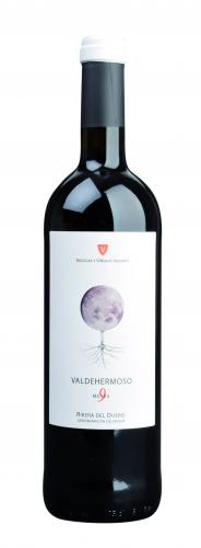Valdehermoso 9 Meses Ribera del Duero DO 2020 