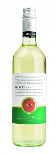 Grillo IGT Sicilia 2021 