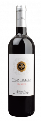 Valpolicella Classico Veneto DOC 2024 
