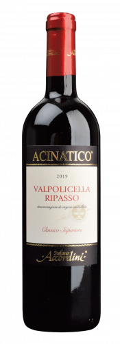 Valpolicella classico Ripasso Veneto DOC 2023 