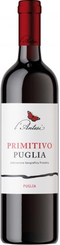 Primitivo IGP Puglia 2021 
