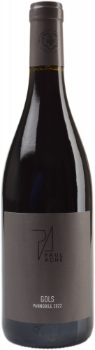 Pannobile Burgenland 2022 