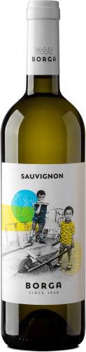 Sauvignon Blanc IGT Trevenezie 2025 