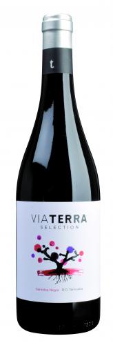 Via Terra Tinto Terra Alta DO 2024 