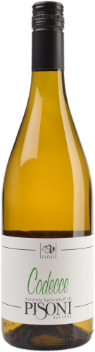 Codecce Vigneti delle Dolomiti IGP BIO 2025 