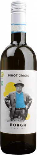 Pinot Grigio DOC delle Venezie 2024 