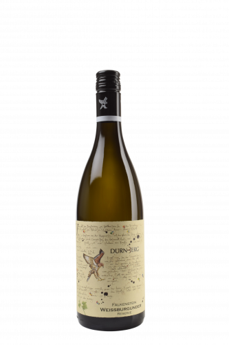 Weissburgunder Falkenstein Reserve 2025 